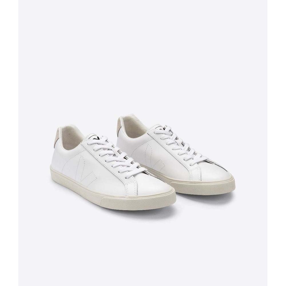 White/Beige Women's Veja ESPLAR LEATHER Sneakers | AU 621HAP